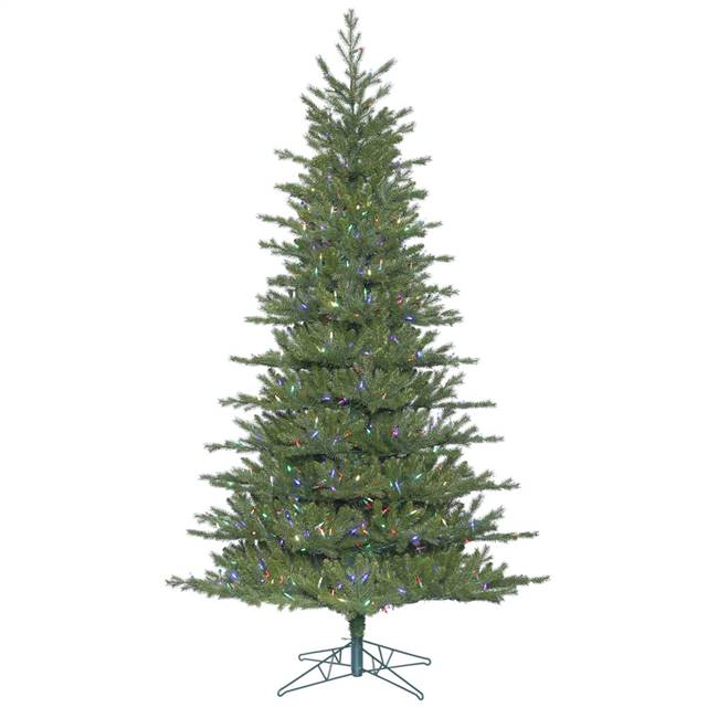 10' x 71" Eastern Frasier Fir 5202T