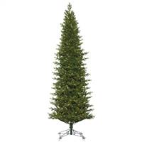 14' x 56" Eagle Frasier Dura-Lit 2100CL