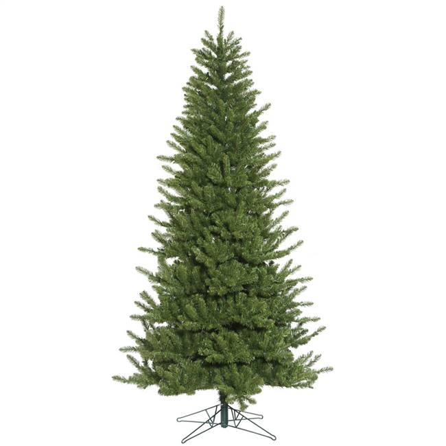 10' x 61" Nampa Pine 3524T