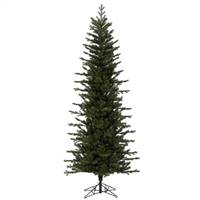 14' x 68" Hillside Pencil Spruce 5825T