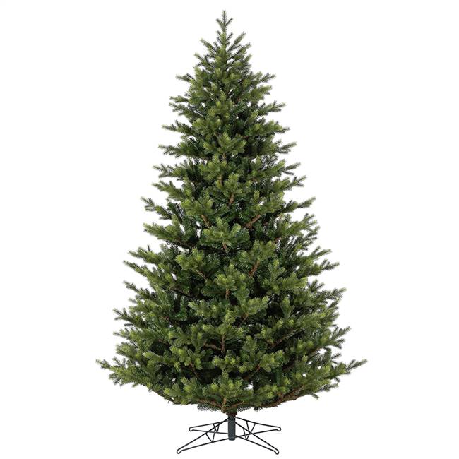 10' x 73" Welch Frasier Fir 7543T