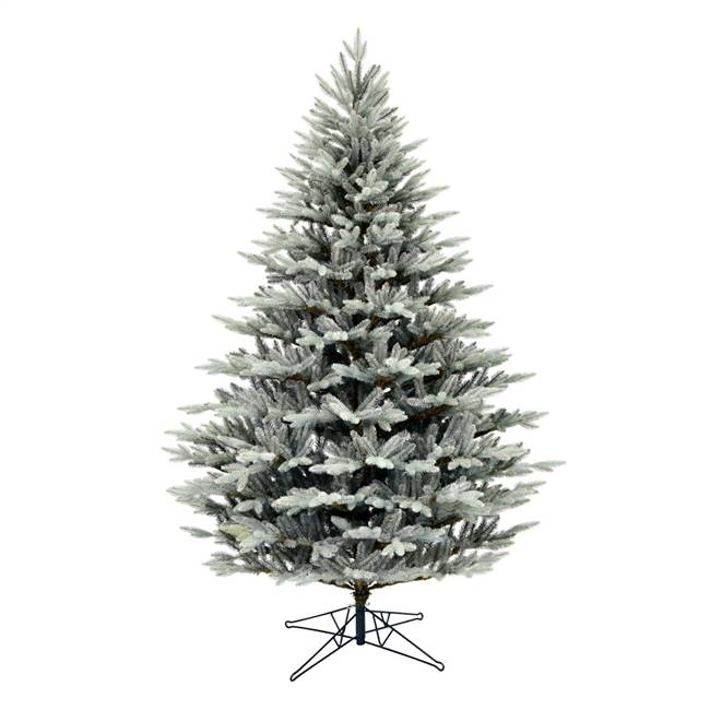 10' x 74" Douglas Blue Fir Tree 4524Tips