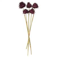 15-17" Violet Artichoke on Stem 5/bag