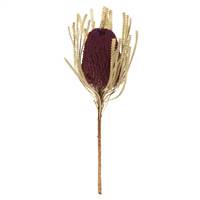 12-18" Violet Banksia Flower