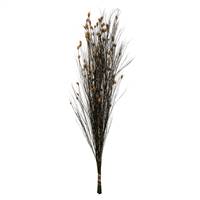 36-40" Bell Grass w/Natural Pod Bundle