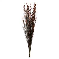 36-40" Bell Grass w/Merlot Pod Bundle