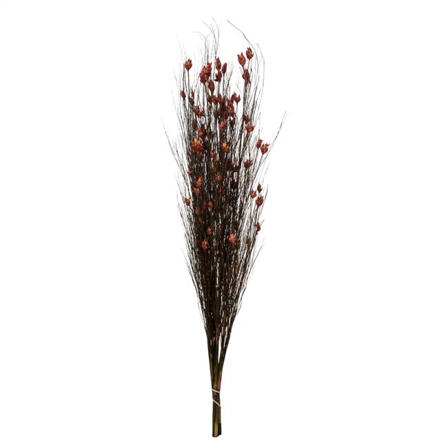 36-40" Bell Grass w/Red Pod Bundle