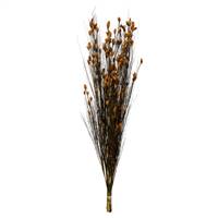 36-40" Bell Grass w/Aspen Gold Pod