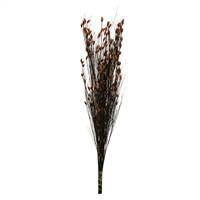 36-40" Bell Grass w/Autumn Pod Bundle