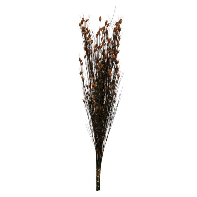 36-40" Bell Grass w/Autumn Pod Bundle