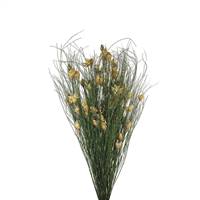 15-20" Bell Grass w/Natural Pod Bundle
