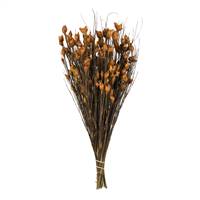 15-20" Bell Grass w/Aspen Gold Pods