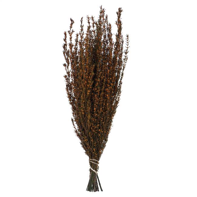 22-26" Autumn Grabia Bundle