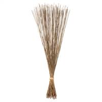 30" Natural Marsh Reed Bundle