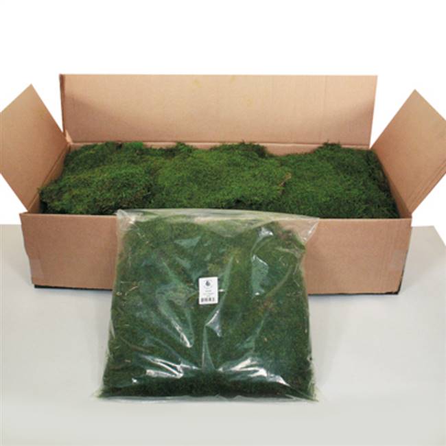 Green Moss Sheet - 1.1 lb/Bag