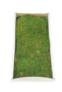 Green Moss Sheet - 8 oz./Tray