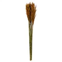 36-40" Autumn Plume Reed Bundle