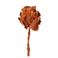 8" Autumn Queen Flower Stem