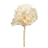 8" Bleached Queen Flower Stem