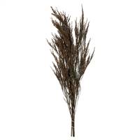 36-40" Green Reed Grass Bundle