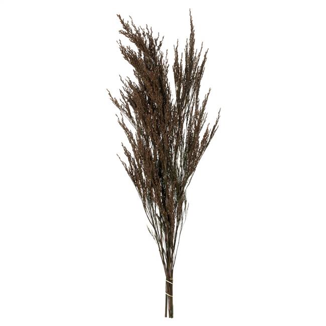 36-40" Green Reed Grass Bundle