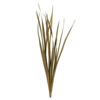 18-30” Natural Snake Grass - 12 Stems