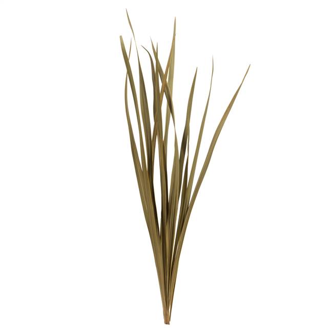 18-30” Natural Snake Grass - 12 Stems