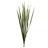18-30” Basil Snake Grass - 12 Stems