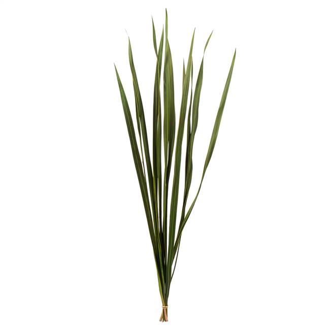 18-30” Basil Snake Grass - 12 Stems