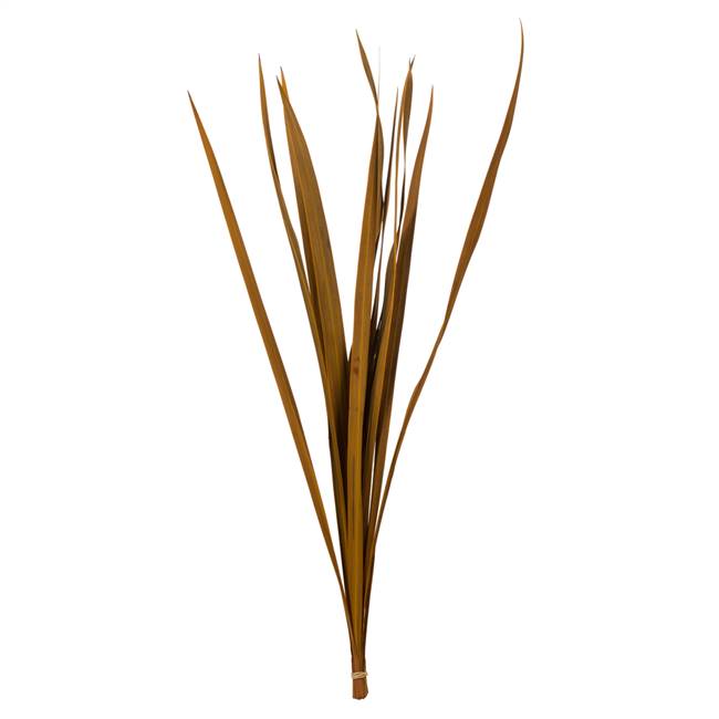 18-30” Aspen Gold Snake Grass - 12 Stems
