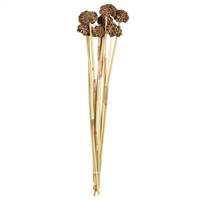 18-24” Natural Spider Knobs on Reed Stem