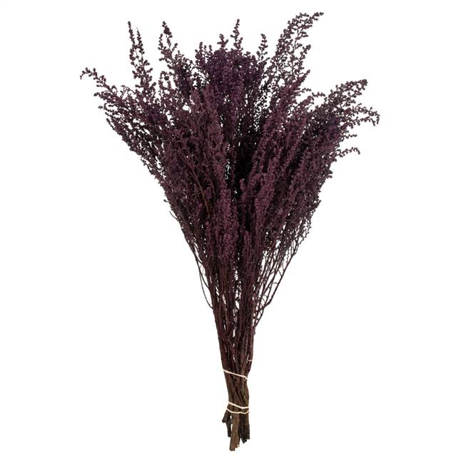 14-18" Violet Stoebe Bundle