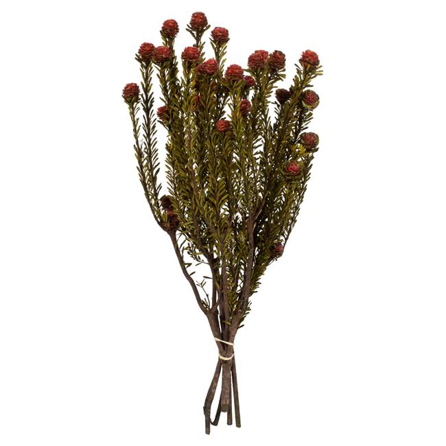 12-18" Red Tortum Bundle