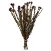 12-18" Violet Tortum Bundle