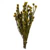 12-18" Yellow Tortum Bundle