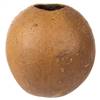 6-7" x 6-8" Natural Bacacuia Gourd