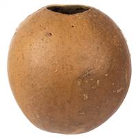 6-7" x 6-8" Natural Bacacuia Gourd