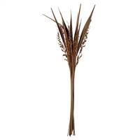 36-40" Natural Bahia Spears with Seeds