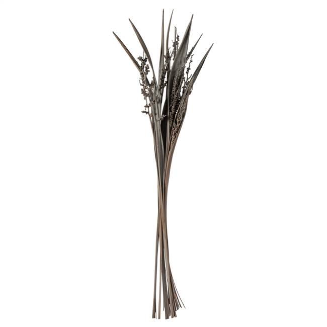 36-40" Grey Wash Bahia Spears with Seeds