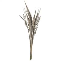 36-40" White Wash Bahia Spears with Seed