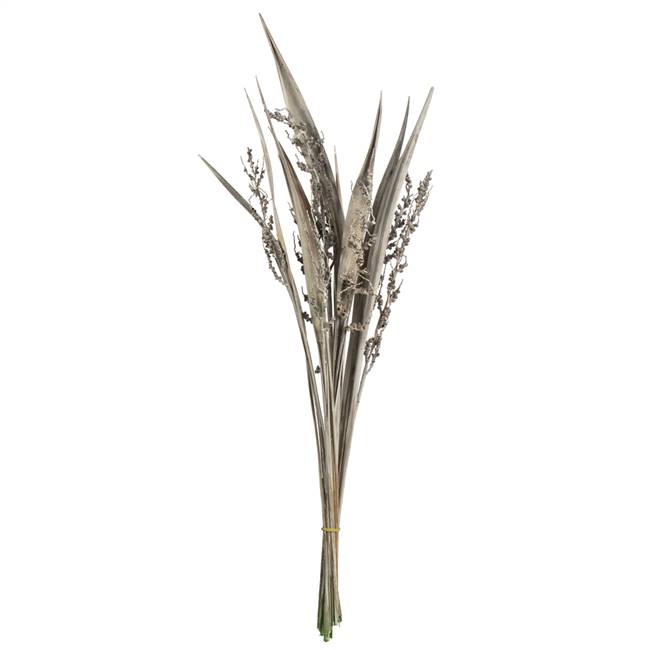 36-40" White Wash Bahia Spears with Seed