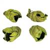 2-3" Basil Cacho Pods - 60/Case