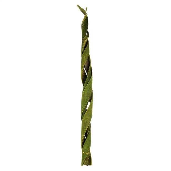 45 - 48" Curled Basil Coco Velvet Stems