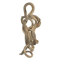 Bleached Coiled Vine - 1 pc