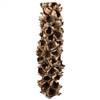 26-28" Natural Giant Seed Pod Half