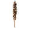 50 - 60" Basil Giant Seed Pod - Whole 2
