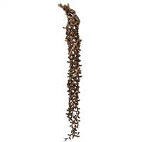 36-44" Natural Curled Ladder Branches
