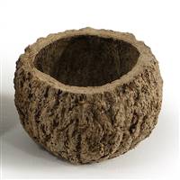 3-4" Natural Mayan Coconut