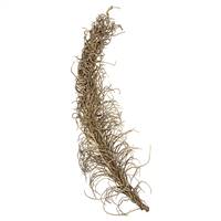 36-40" Natural Medusa Branch - Medium