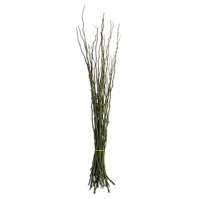 35-40" Foliage Green Moneta Branches